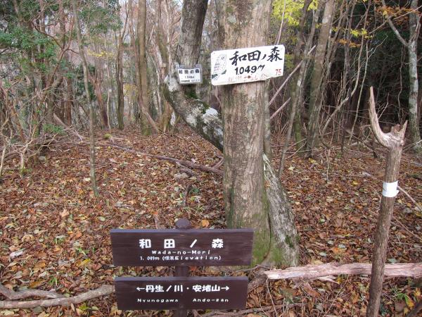 和田の森までは登りが続きます